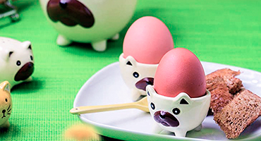Egg Cup
