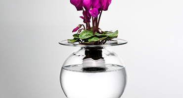 Серия Tete a tete